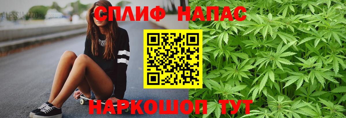 Карасук  Бошки Шишки гибрид  Бошки Шишки ГИДРОПОН  Канабис THC 21%  Вход с VPN 